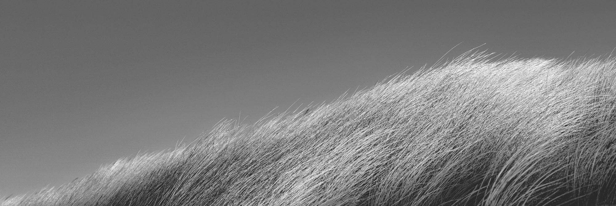 Headerbild der Seite Profil